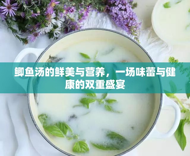 鯽魚湯的鮮美與營養(yǎng)，一場味蕾與健康的雙重盛宴