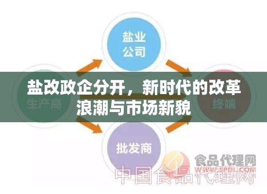 鹽改政企分開，新時(shí)代的改革浪潮與市場(chǎng)新貌