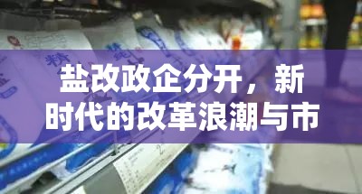 鹽改政企分開，新時(shí)代的改革浪潮與市場(chǎng)新貌