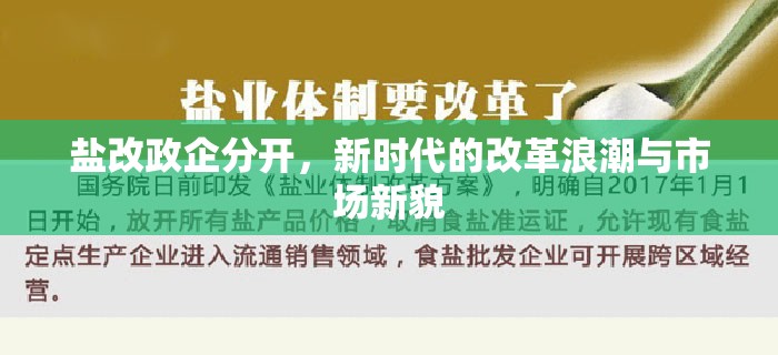 鹽改政企分開，新時(shí)代的改革浪潮與市場(chǎng)新貌