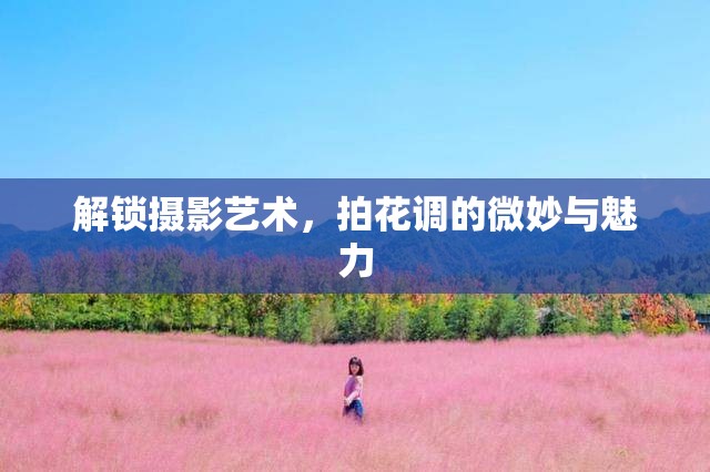 解鎖攝影藝術(shù)，拍花調(diào)的微妙與魅力