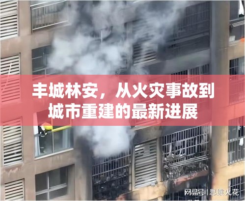 豐城林安，從火災事故到城市重建的最新進展