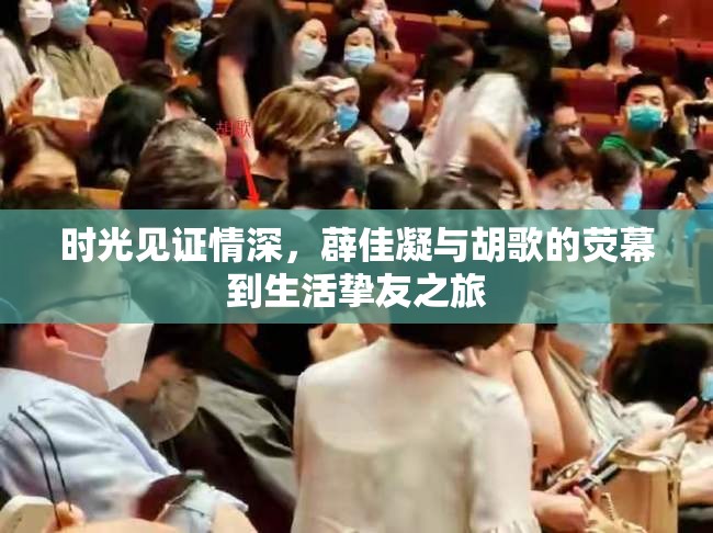 時光見證情深，薜佳凝與胡歌的熒幕到生活摯友之旅