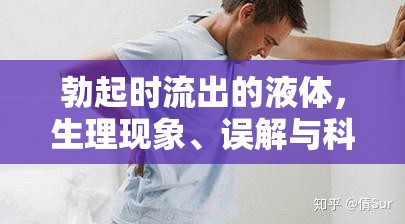 勃起時流出的液體，生理現象、誤解與科學解讀