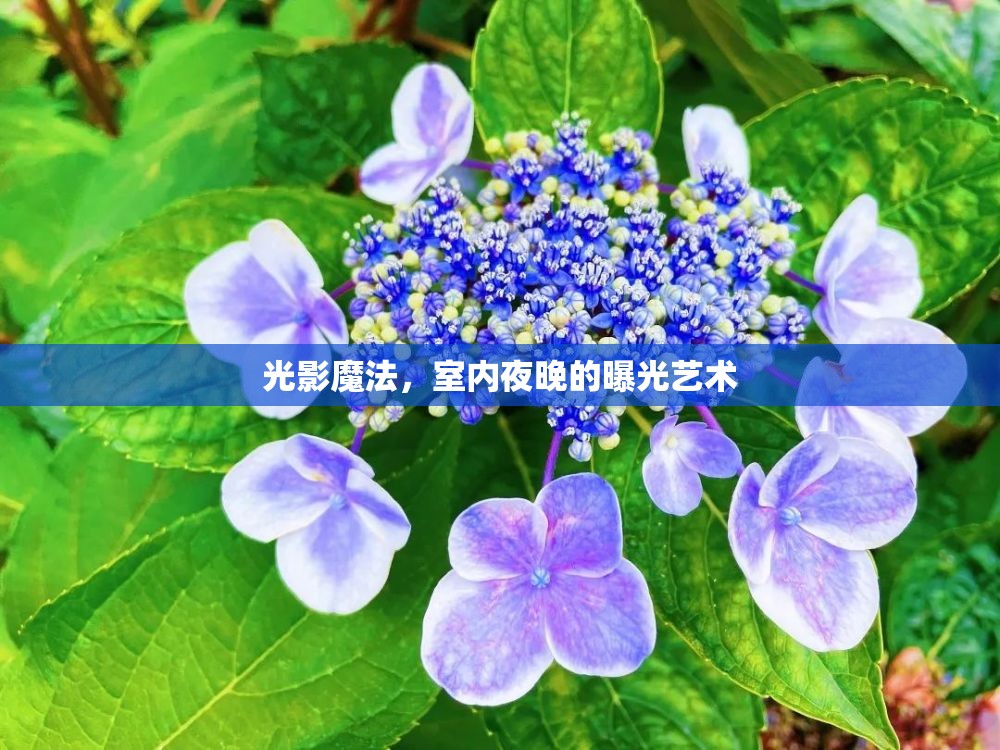 光影魔法，室內(nèi)夜晚的曝光藝術(shù)