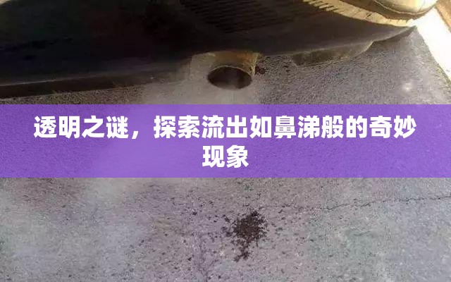 透明之謎，探索流出如鼻涕般的奇妙現(xiàn)象