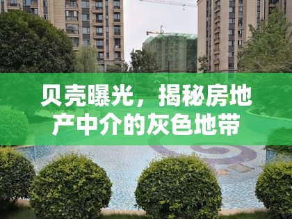 貝殼曝光，揭秘房地產(chǎn)中介的灰色地帶