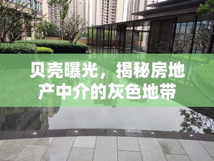 貝殼曝光，揭秘房地產(chǎn)中介的灰色地帶