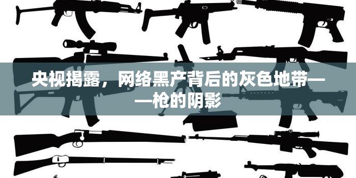 央視揭露，網(wǎng)絡(luò)黑產(chǎn)背后的灰色地帶——槍的陰影