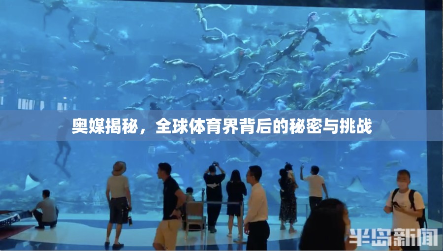 奧媒揭秘，全球體育界背后的秘密與挑戰(zhàn)