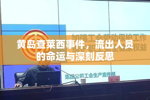 黃島查萊西事件，流出人員的命運(yùn)與深刻反思