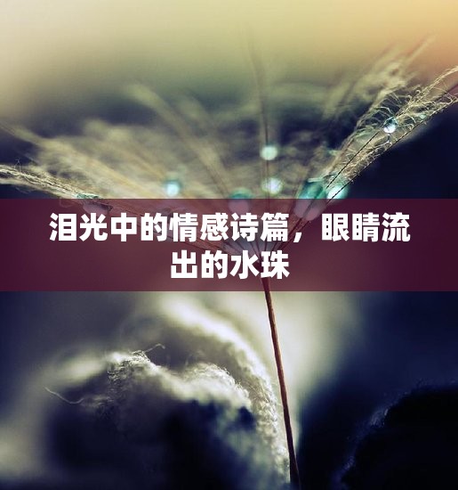 淚光中的情感詩篇，眼睛流出的水珠