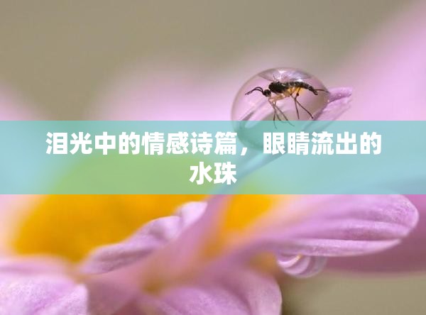 淚光中的情感詩篇，眼睛流出的水珠