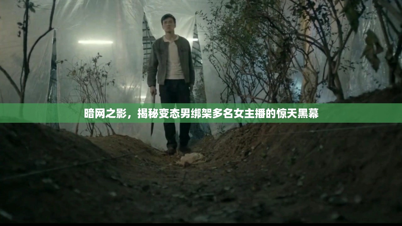 暗網(wǎng)之影，揭秘變態(tài)男綁架多名女主播的驚天黑幕