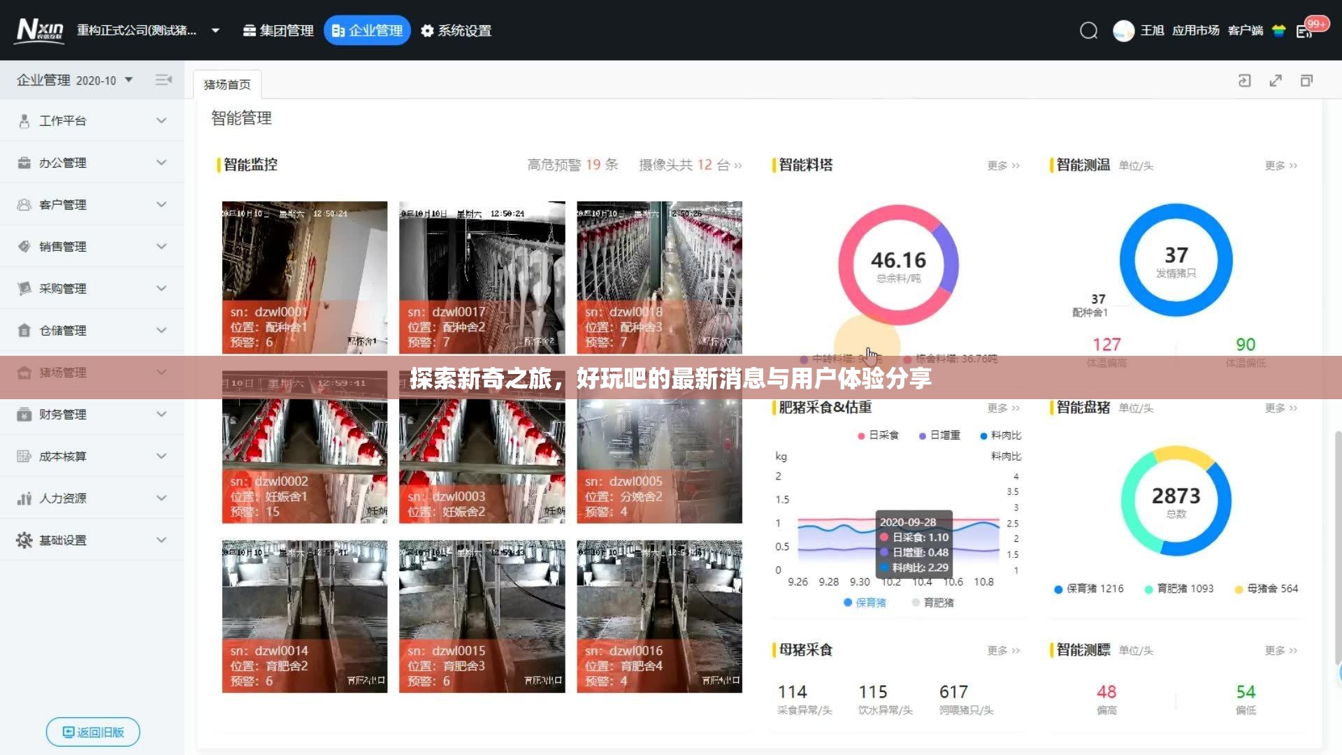 探索新奇之旅，好玩吧的最新消息與用戶體驗分享