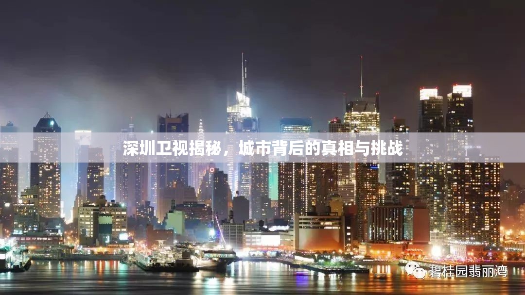 深圳衛(wèi)視揭秘，城市背后的真相與挑戰(zhàn)