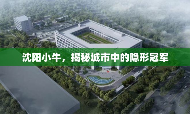 沈陽(yáng)小牛，揭秘城市中的隱形冠軍