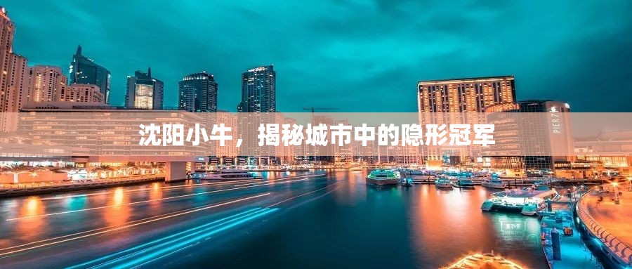 沈陽(yáng)小牛，揭秘城市中的隱形冠軍