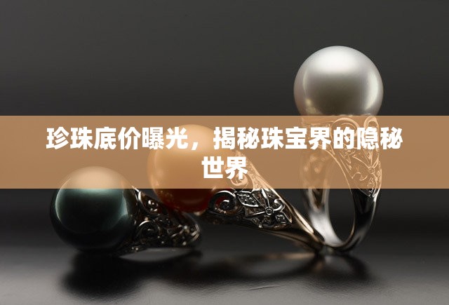 珍珠底價曝光，揭秘珠寶界的隱秘世界