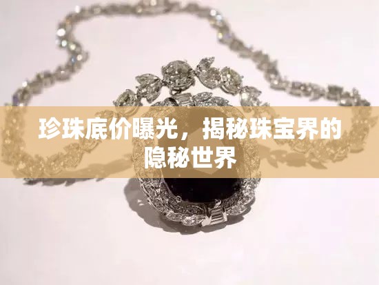 珍珠底價曝光，揭秘珠寶界的隱秘世界