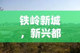 鐵嶺新城，新興都市區(qū)的崛起與最新發(fā)展