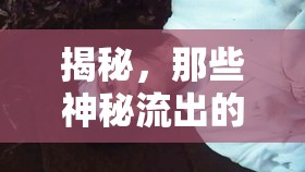 揭秘，那些神秘流出的真相