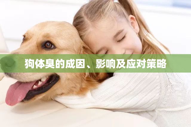 狗體臭的成因、影響及應對策略