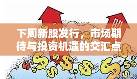 下周新股發(fā)行，市場期待與投資機(jī)遇的交匯點(diǎn)