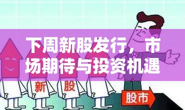 下周新股發(fā)行，市場期待與投資機(jī)遇的交匯點(diǎn)