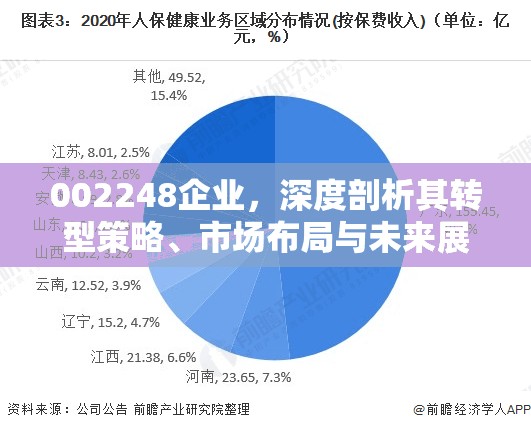 002248企業(yè)，深度剖析其轉(zhuǎn)型策略、市場布局與未來展望
