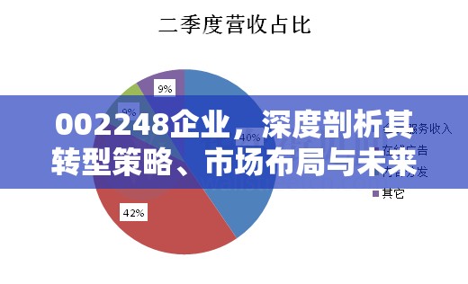 002248企業(yè)，深度剖析其轉(zhuǎn)型策略、市場布局與未來展望
