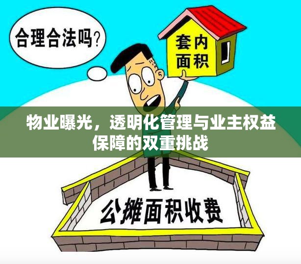 物業(yè)曝光，透明化管理與業(yè)主權(quán)益保障的雙重挑戰(zhàn)