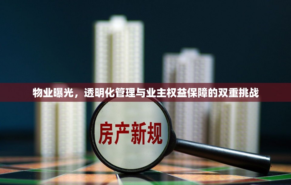 物業(yè)曝光，透明化管理與業(yè)主權(quán)益保障的雙重挑戰(zhàn)