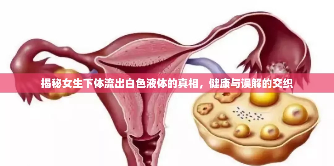 揭秘女生下體流出白色液體的真相，健康與誤解的交織