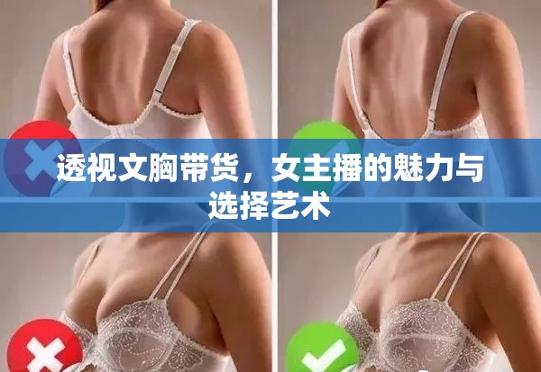 透視文胸帶貨，女主播的魅力與選擇藝術(shù)