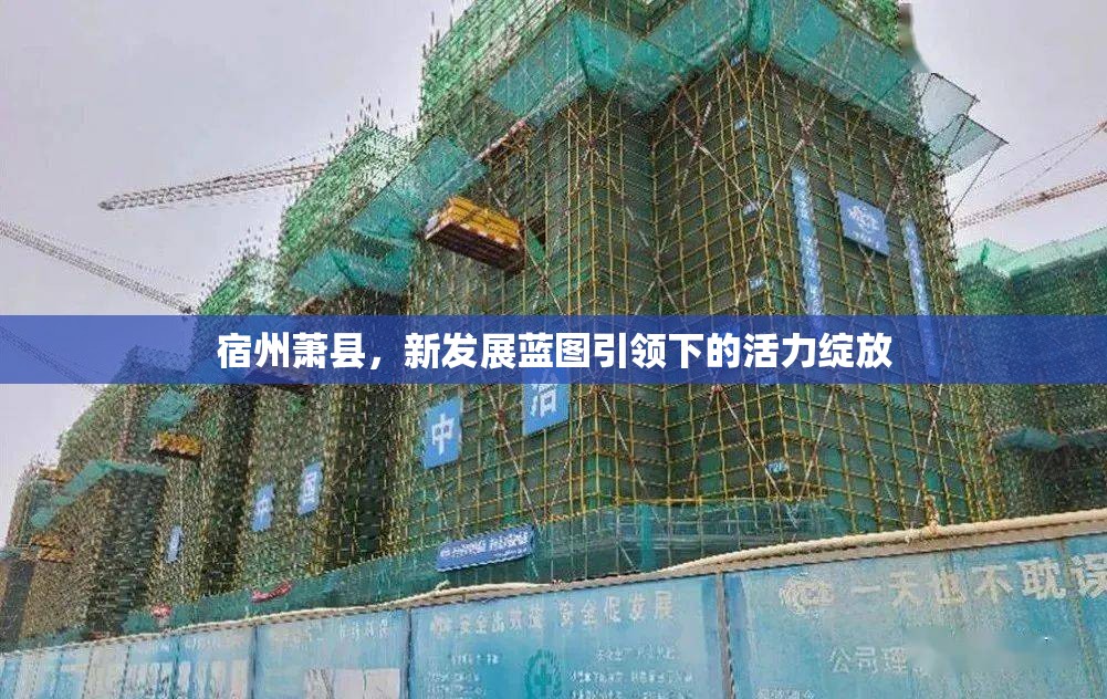 宿州蕭縣，新發(fā)展藍(lán)圖引領(lǐng)下的活力綻放