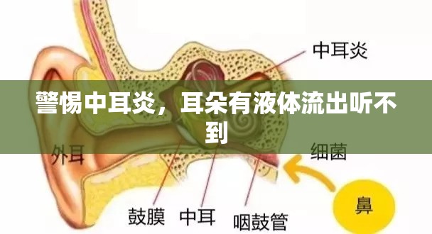 警惕中耳炎，耳朵有液體流出聽(tīng)不到