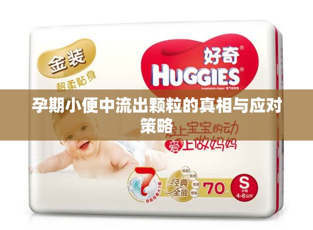 孕期小便中流出顆粒的真相與應(yīng)對策略