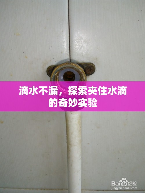 滴水不漏，探索夾住水滴的奇妙實(shí)驗(yàn)