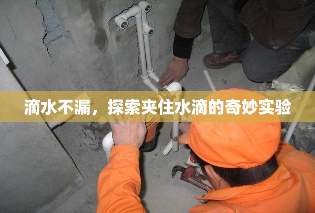 滴水不漏，探索夾住水滴的奇妙實(shí)驗(yàn)