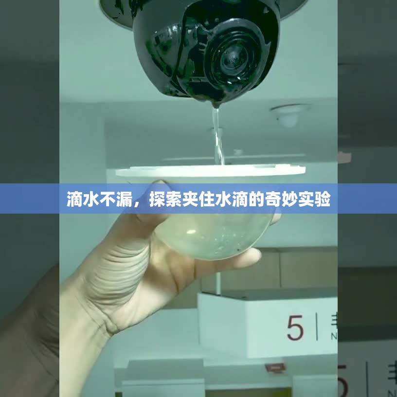 滴水不漏，探索夾住水滴的奇妙實(shí)驗(yàn)