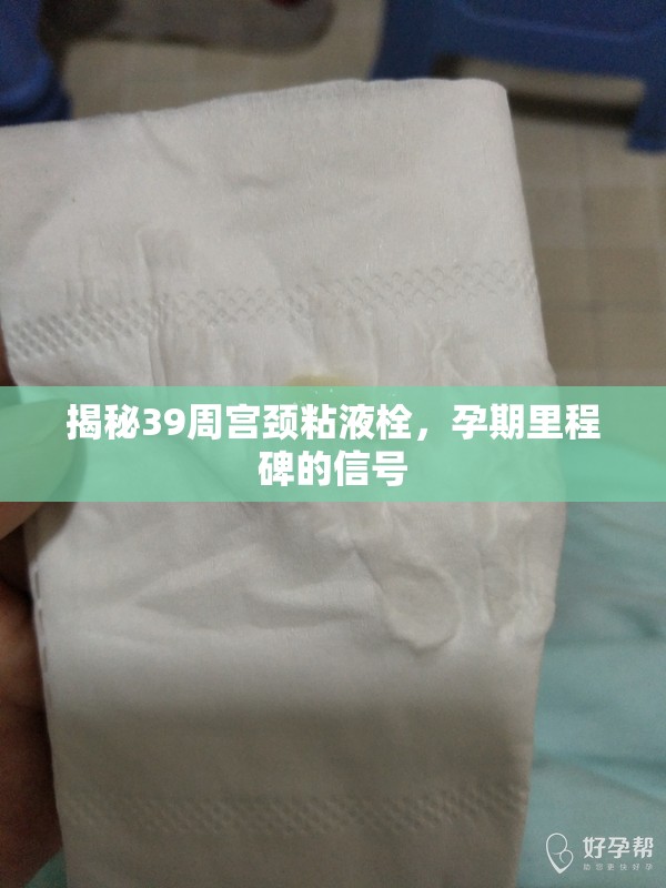 揭秘39周宮頸粘液栓，孕期里程碑的信號(hào)