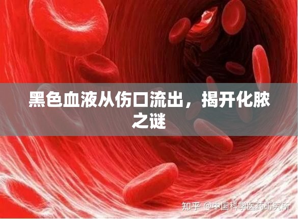 黑色血液從傷口流出，揭開化膿之謎