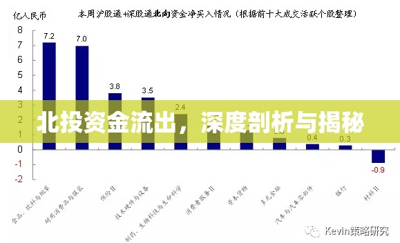 北投資金流出，深度剖析與揭秘
