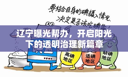 遼寧曝光幫辦，開啟陽光下的透明治理新篇章