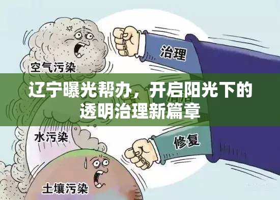 遼寧曝光幫辦，開啟陽光下的透明治理新篇章