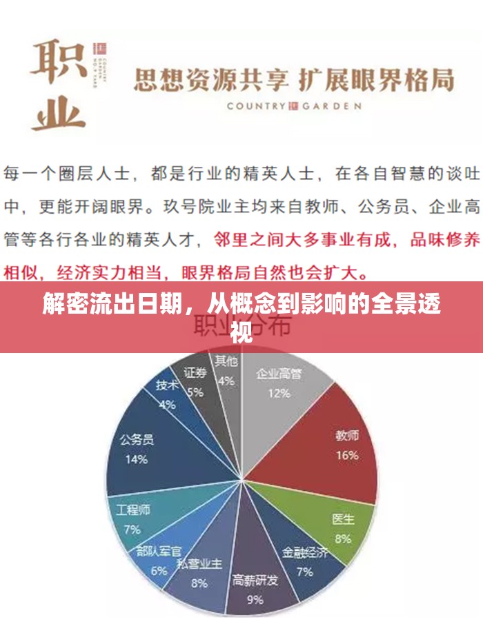 解密流出日期，從概念到影響的全景透視