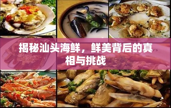 揭秘汕頭海鮮，鮮美背后的真相與挑戰(zhàn)