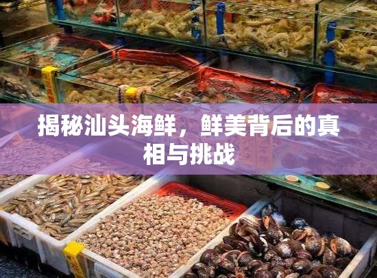 揭秘汕頭海鮮，鮮美背后的真相與挑戰(zhàn)