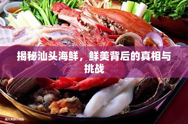 揭秘汕頭海鮮，鮮美背后的真相與挑戰(zhàn)